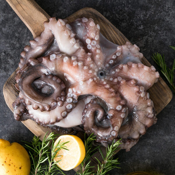 Pulpo / Krake klein