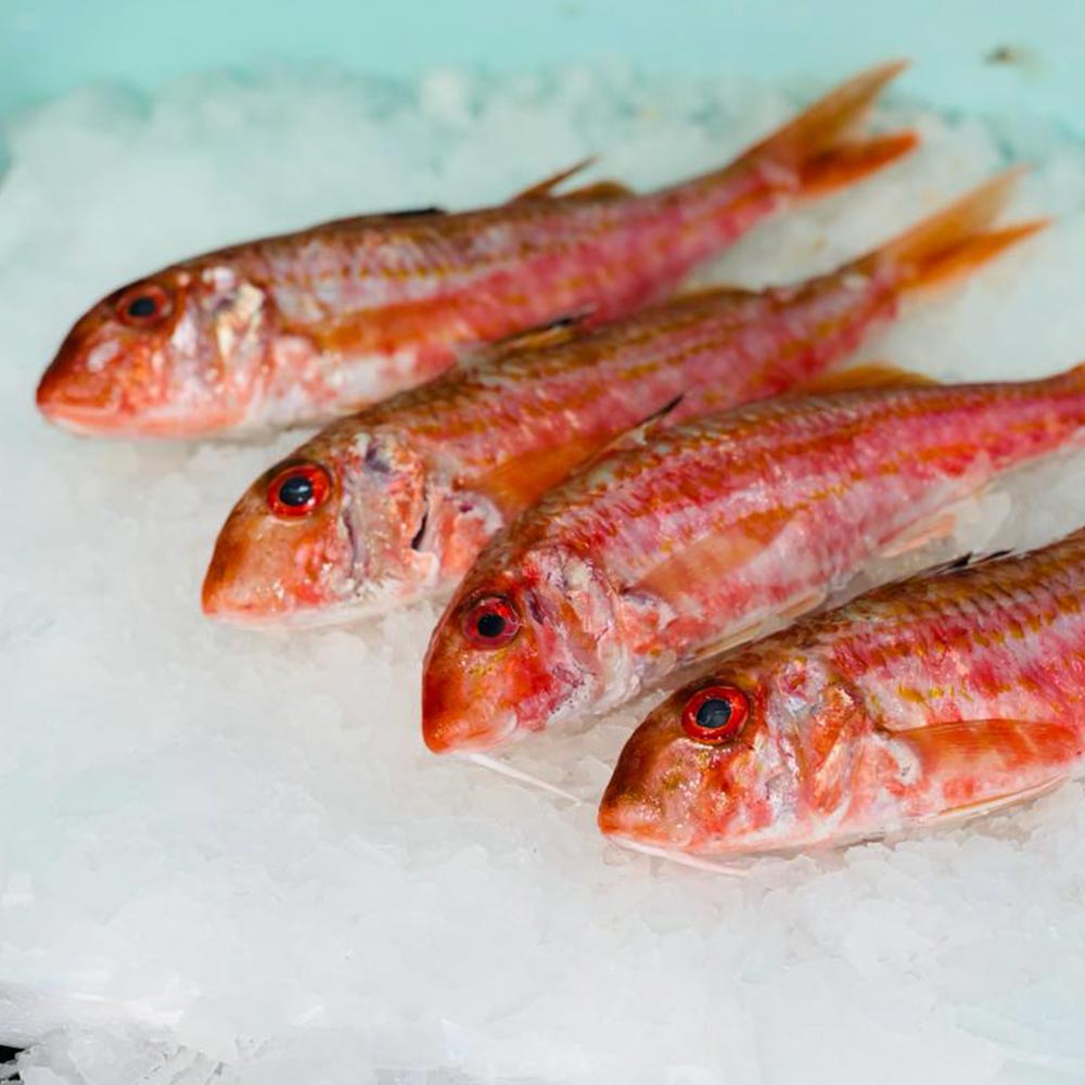 original Surströmming Fisch, neu in Berlin - Lichterfelde, Freunde und  Freizeitpartner finden