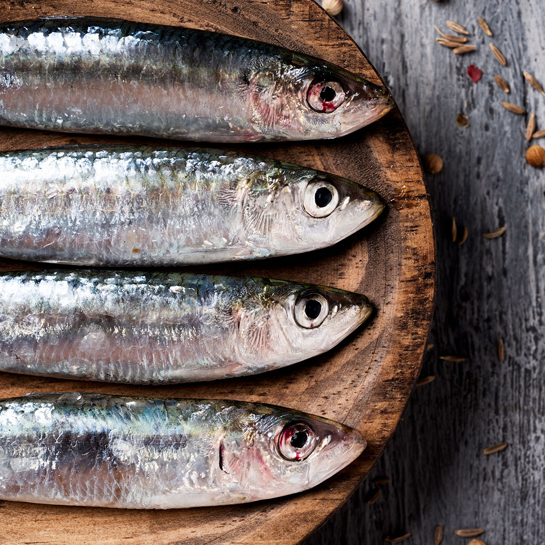 _0000s_0009_Sardinen 2 Sardinen rund