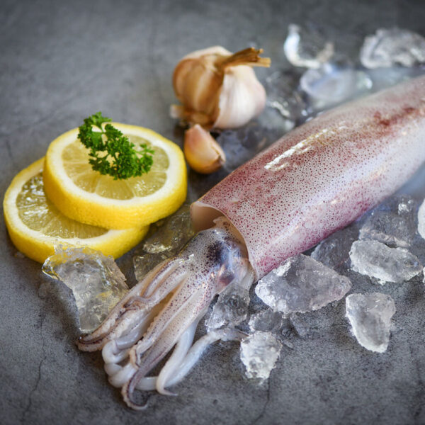 Calamari Patagonya